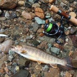 増水の谷でイワナ釣り